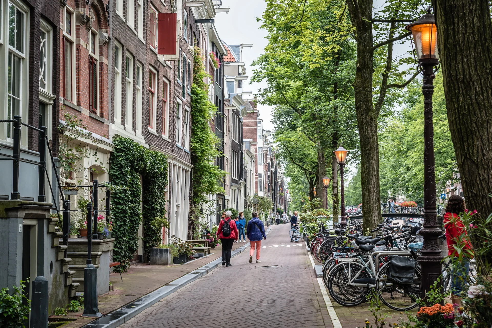 Wonen in de stad